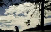 Bello horizonte: by lifeontheamazon, Views[235]