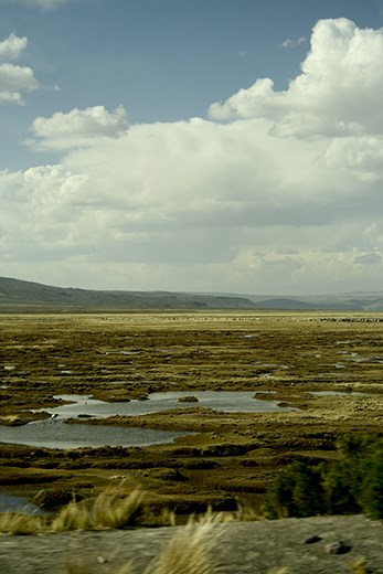 Hacia rutas salvajes