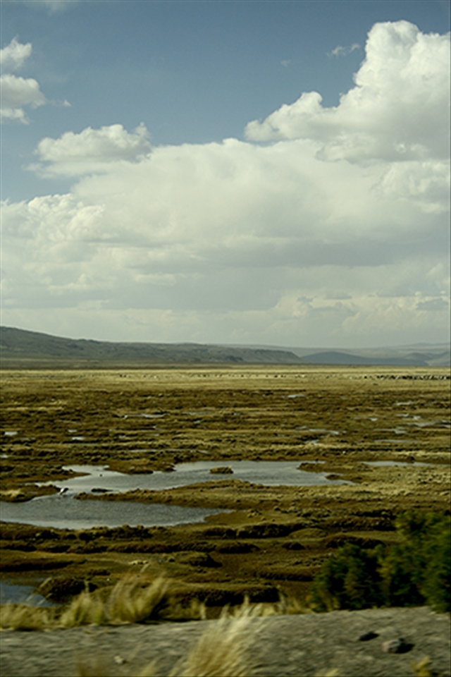 Hacia rutas salvajes