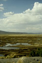 Hacia rutas salvajes: by lifeontheamazon, Views[238]