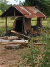 Drying wood: by lightindarkness, Views[149]