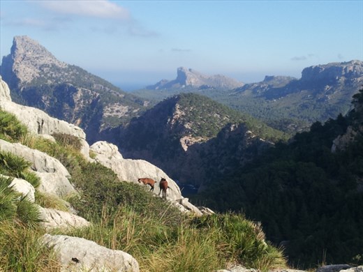 Sierra de Tramontana / Cap Formentor
