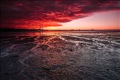 by likli, Views[390]