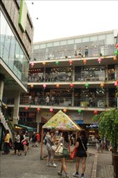 by lilacriver, Views[505]