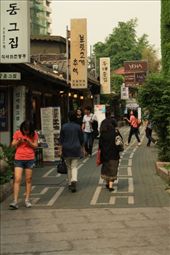 by lilacriver, Views[542]