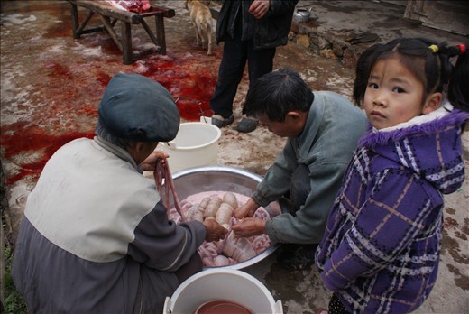 With no brothers, 8-year-old Mei Mei is the first female in the family to be taught how to butcher. First step is gutting and cleaning the endless yards of the pig's intestines.