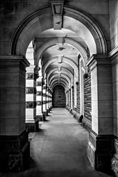 This is in the south island, a building that has great structures: by lilychor, Views[267]