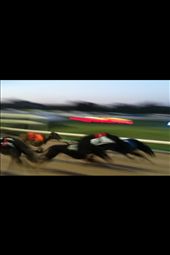 by linda_mikeblog, Views[172]