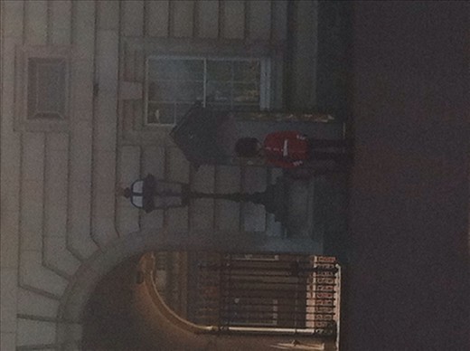 A guard at buckingham palace