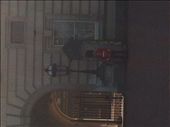 A guard at buckingham palace: by linda_mikeblog, Views[179]