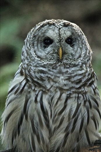 A lucky discovery! Almost didn't see this guy but my dad wanted to walk further