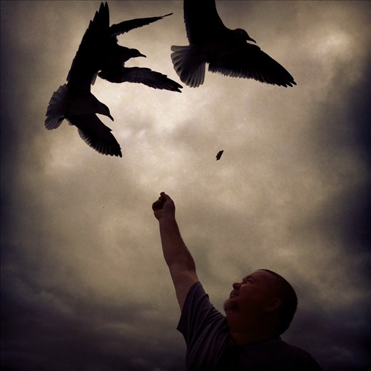 Dare To Dream:  boats, seagulls and family fun in Destin, FL