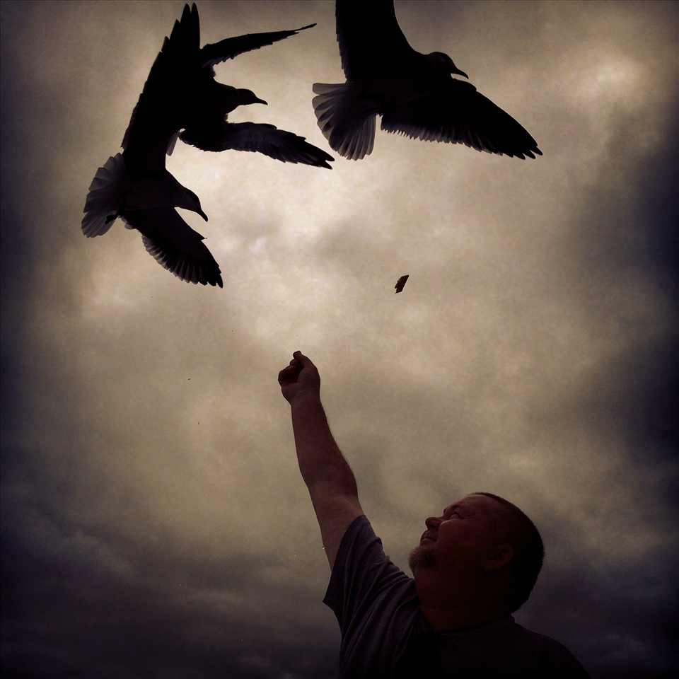 Dare To Dream:  boats, seagulls and family fun in Destin, FL