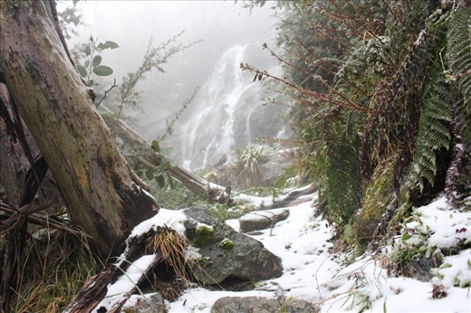 Early one morning Falls Creek Falls, after a long excited walk i came upon  this magical sight.