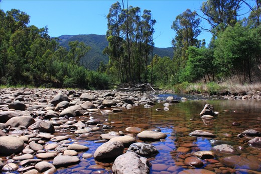 A river found while four wheel driving through Licola, such a beautiful refreshing spot.  