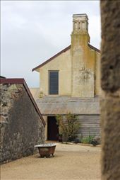 by lindsg, Views[225]