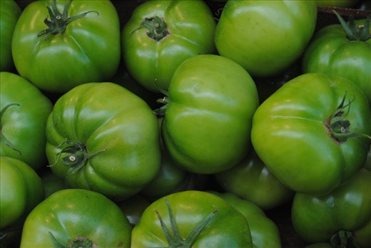 Green tomatos