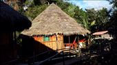 Hut w/ hammock : by lipowcan8, Views[370]