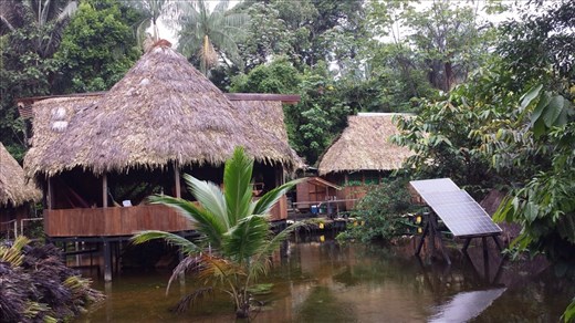 Main gathering point hut. Samoan Lodge