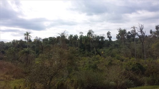 View from bus. Paraguay to Argentina.