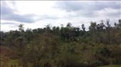View from bus. Paraguay to Argentina.: by lipowcan8, Views[514]
