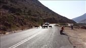 Paros. Goats crossing road: by lipowcan8, Views[365]