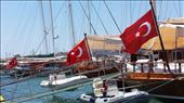 Bodrum port: by lipowcan8, Views[270]