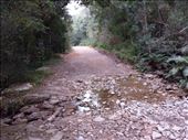 Mt. Bike trail. : by lipowcan8, Views[323]