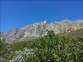 Table Mountain above Cope Town. Tried  to hike to the top but the low clouds rolled in cut visibility to almost nothing. Still had  good 2 to 3 hour hike.: by lipowcan8, Views[432]