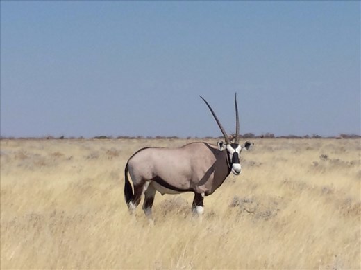 I really like this picture