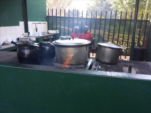 Cooking a traditional African meal. Buffalo meat,  greens and a grain/corn mix that has the consistency of firm mashed potatoes. 