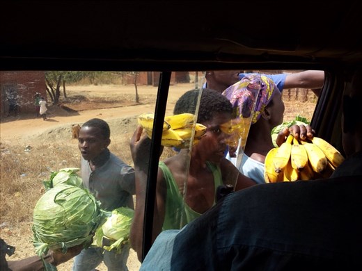 On the bus..... The second biggest cabbage I have ever seen( Maxwell Smart)