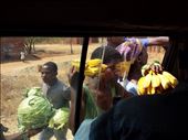 On the bus..... The second biggest cabbage I have ever seen( Maxwell Smart): by lipowcan8, Views[317]