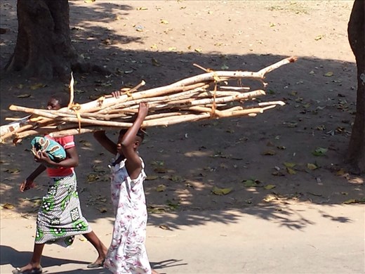 Seems like most of the heavy lifting is done by women.