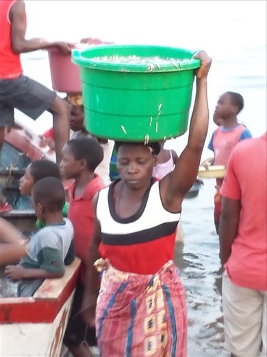 I may have finely rotated the picture. The women hauling the fish deserves it. Incredible strength and balance through the soft sand.
