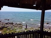 View from deck: by lipowcan8, Views[273]