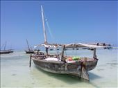 Zanzibar : by lipowcan8, Views[361]