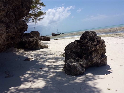 Zanzibar 