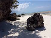 Zanzibar : by lipowcan8, Views[330]