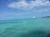 Zanzibar : by lipowcan8, Views[243]