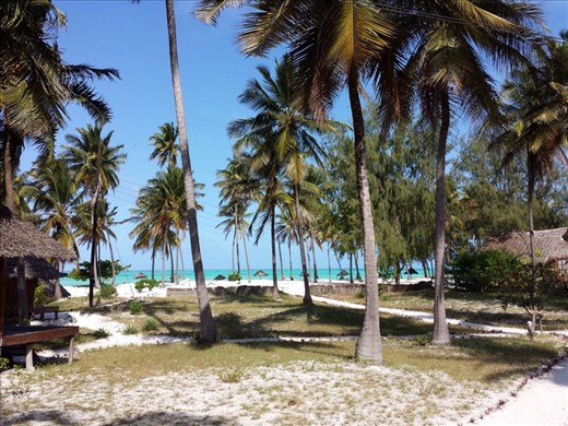 Zanzibar 
