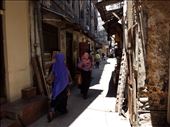 Zanzibar : by lipowcan8, Views[334]