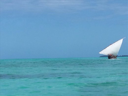 View from boat on way to snorkel 