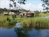 View from bike. Rode through rice fields, very pretty.: by lipowcan8, Views[417]
