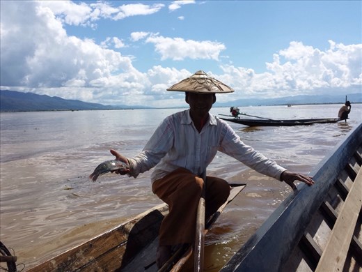 The biggest fish I saw was this one.