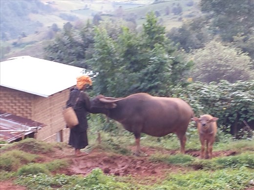 The village where we slept.