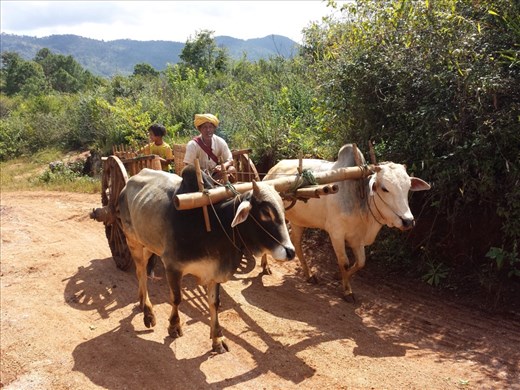 A lot of things are done the old fashion way.