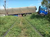 Truck high centered on the railroad tracks. One of many examples of lack of enforcing regulations.: by lipowcan8, Views[338]