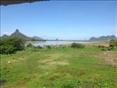 View from my room. $20.00 per night.: by lipowcan8, Views[361]