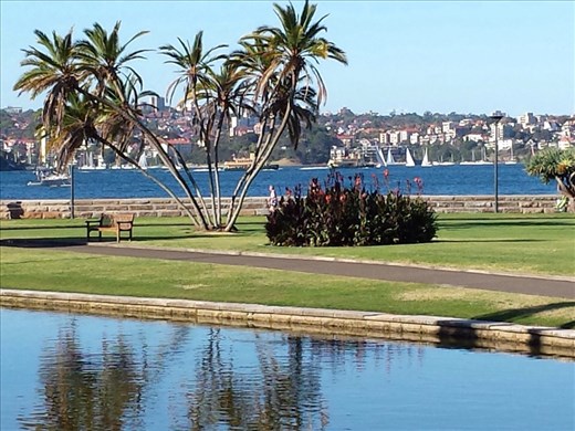 Sydney Botanical Garden